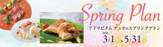 アドリビタムデュオのスプリングプラン