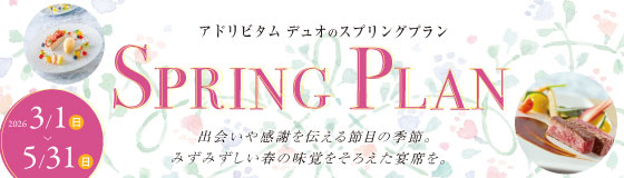 アドリビタムデュオのスプリングプラン